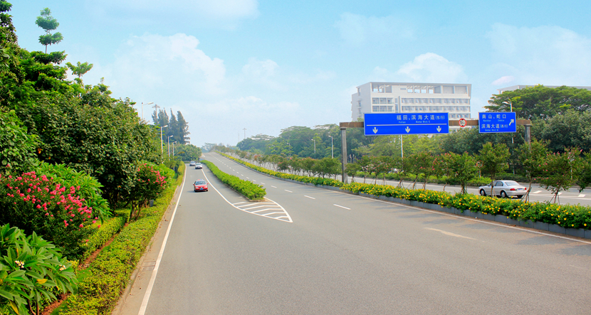 深圳·福田滨河路绿化景观改造工程