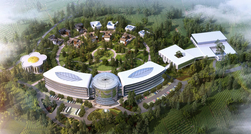 凤冈•茶心谷酒店