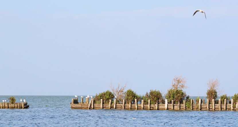 云南·南滇池国家湿地公园
