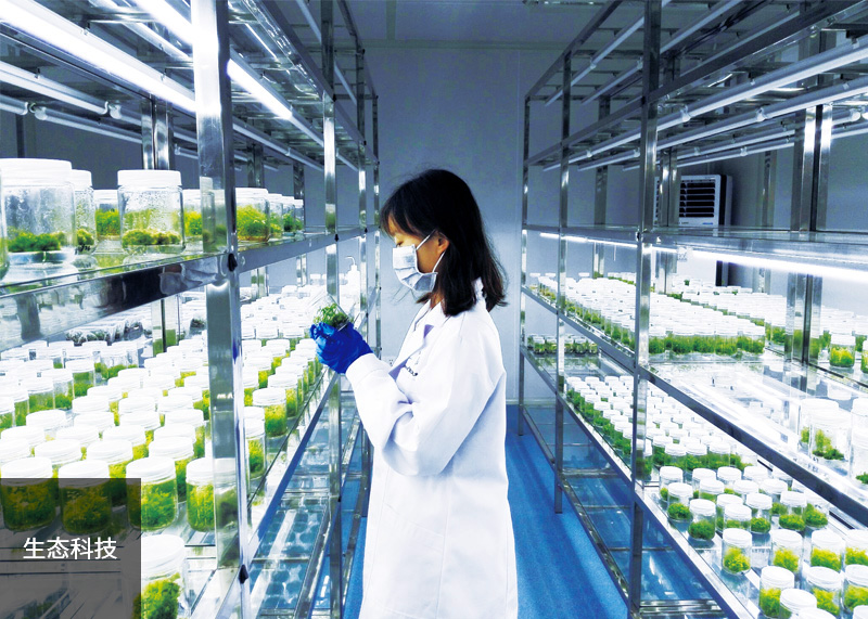 生态科技代表图片